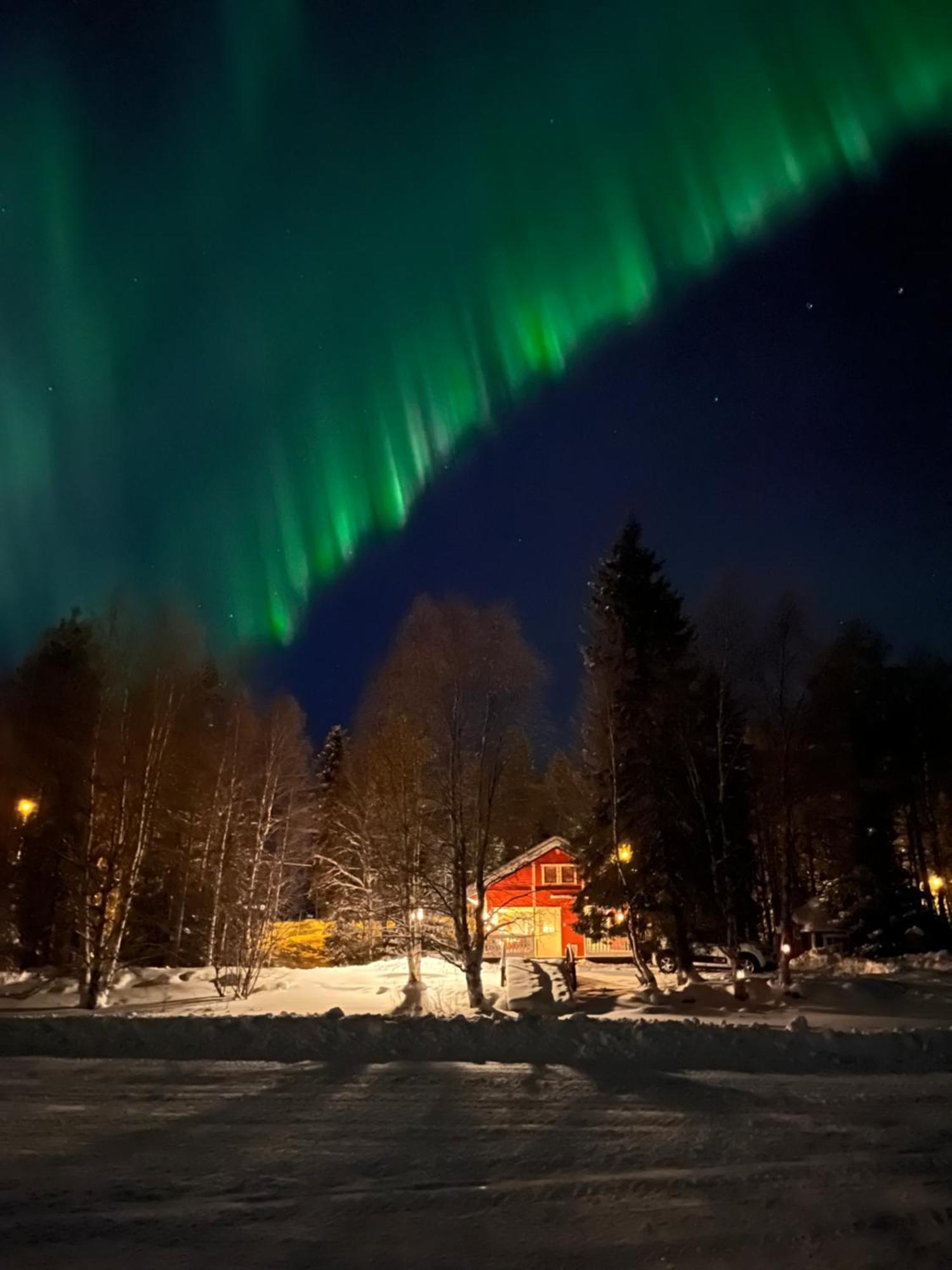 Vikajaervi Lake View Experience Igloos Rovaniemi Exterior photo